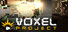 Voxel Project VR