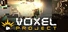 Voxel Project VR