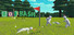 Golf Bash: Online