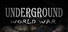 Underground: World War