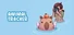 Animal Tracker