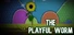 The Playful Worm