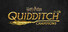 Harry Potter: Quidditch Champions