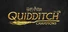 Harry Potter: Quidditch Champions