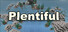 Plentiful