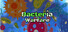 Bacteria Warfare