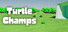 Turtle Champs