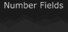 Number Fields