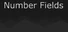 Number Fields