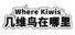 Where Kiwis 几维鸟在哪里