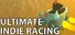 Ultimate Indie Racing