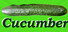 Cucumber