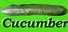 Cucumber