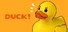 Duck!