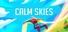 Calm Skies: The Wingsuit Flying Experience