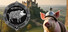 Medieval Pig