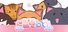 Catbo