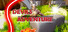 Devils Adventure