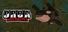 Orca Insurgency