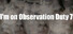 I'm on Observation Duty 7