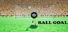 8 Ball Goal