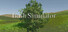 Bush Simulator