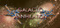 Galactic Annihilation