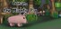 Conan the mighty pig