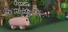 Conan the mighty pig