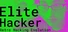 Elite Hacker: Retro Hacking Evolution: Grand Theft Transsexual Uplink Matrix Terminator SEO Words