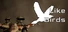 Like Birds