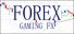 FOREX GAMING FX