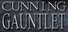 Cunning Gauntlet 2D