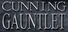 Cunning Gauntlet 2D