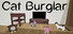 Cat Burglar