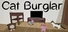 Cat Burglar