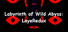 Labyrinth of Wild Abyss: LayeRedux