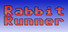 Rabbit Runner