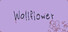 Wallflower