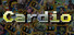 Cardio
