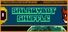 Salarybot Shuffle