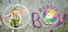 The Tale of: Bubble Boy