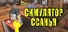 Симулятор ссанья