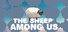 Hide and Sheep