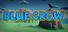 Blue Crow