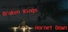 Broken Wings: Hornet Down