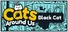 Cats Around Us: Black Cat