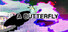 A Butterfly