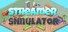 Streamer Simulator