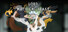 江湖黄老六 Lord of mythical beast